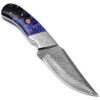 WHITE DEER Damascus Steel Knife Black & Blue Buffalo Horn Handle