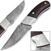 WHITE DEER Damascus Steel Knife with Cocobolo Wood Handle