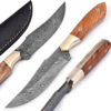 White Deer Damascus Steel Olive Wood Skiner Knife Brace Bolster