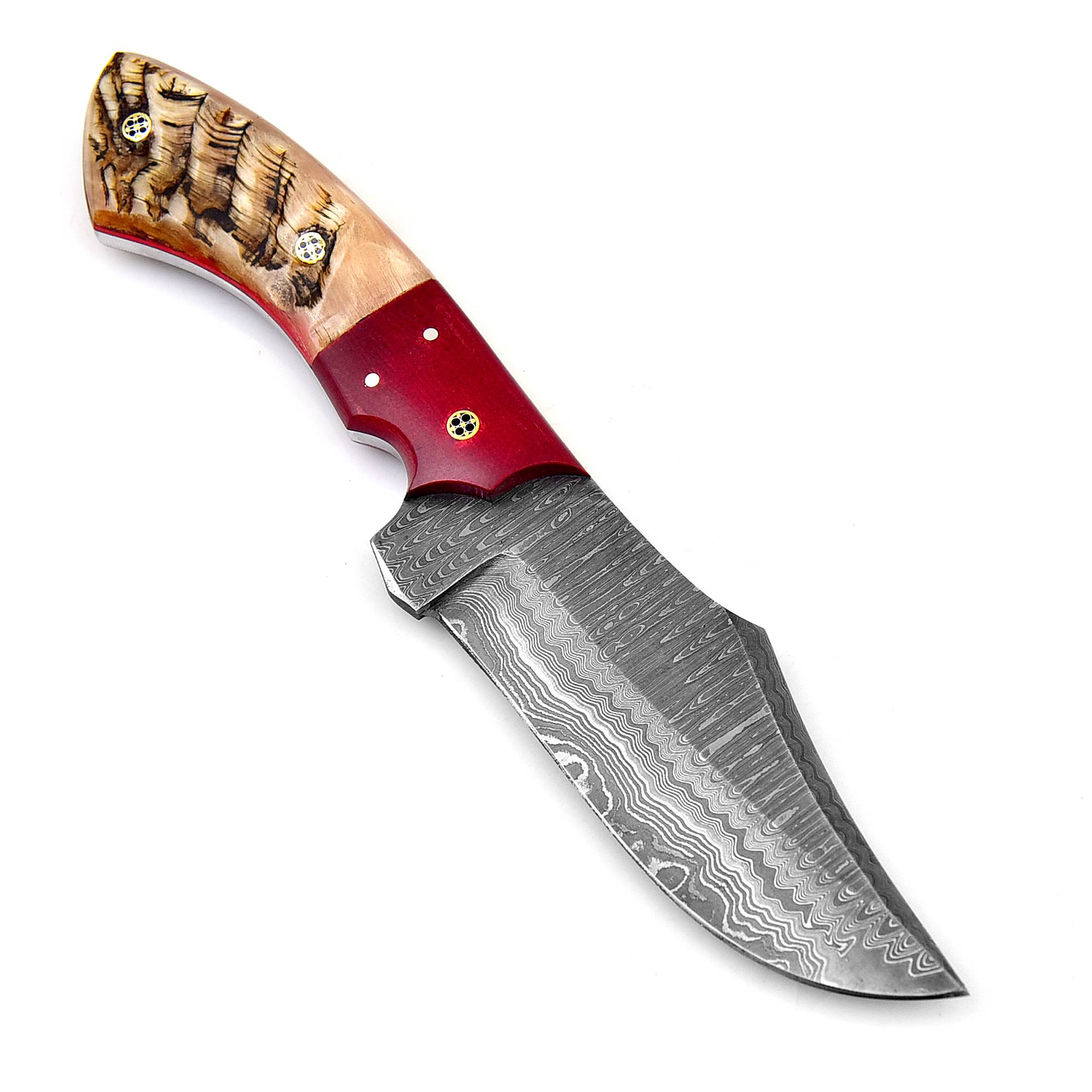 White Deer  Damascus Steel Knife Bison Hunter Ram Handle