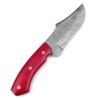 White Deer  Damascus Steel Knife Bison Hunter Micarta Red Handle