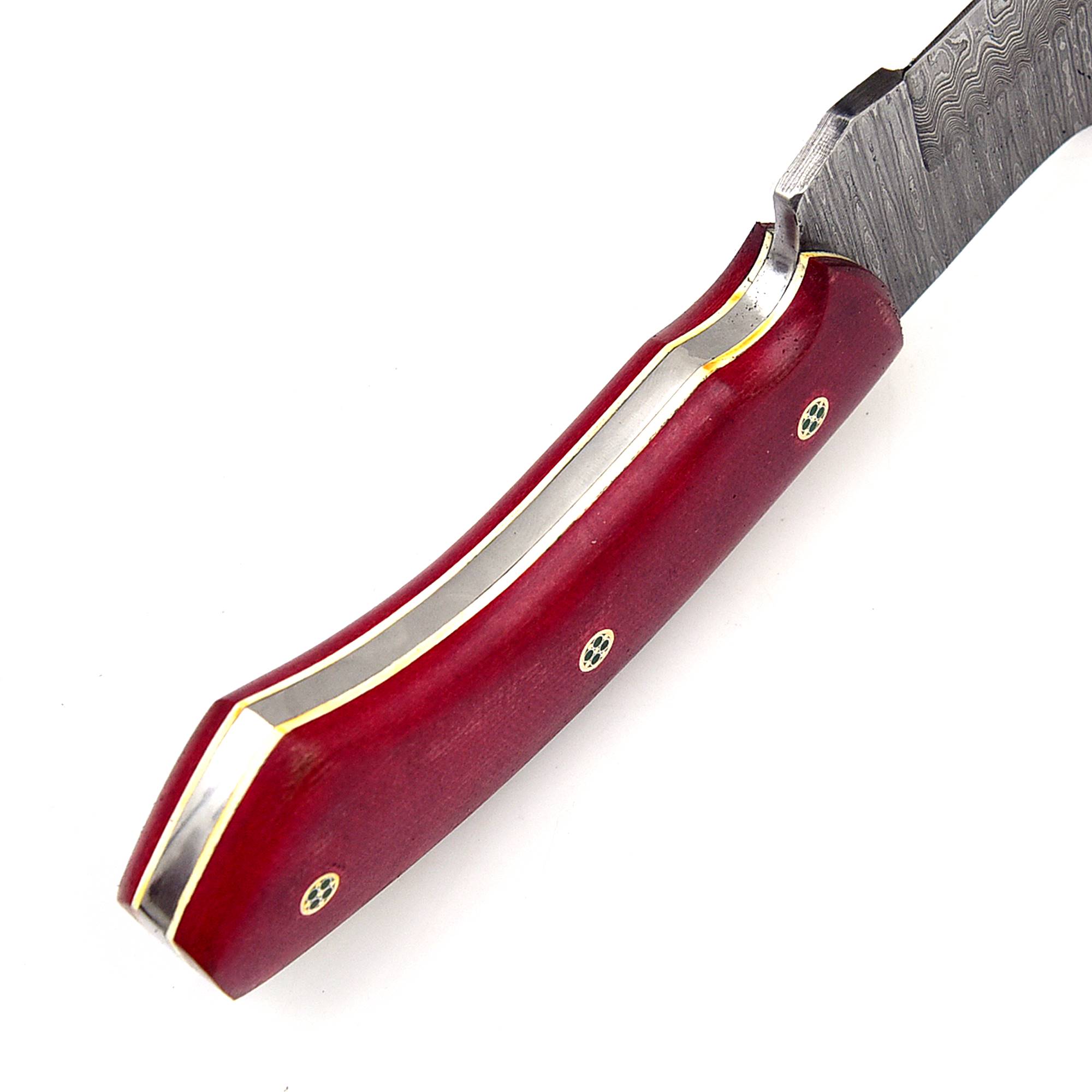 White Deer  Damascus Steel Knife Bison Hunter Micarta Red Handle