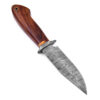 White Deer Damascus Bolster Hand Forge  Hunter Knife Cocobolo Wood Handle