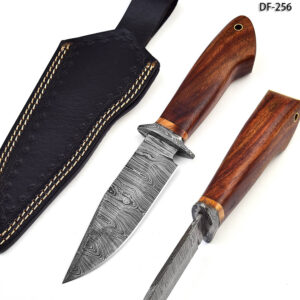 White Deer Damascus Bolster Hand Forge  Hunter Knife Cocobolo Wood Handle