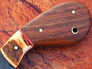 WHITE DEER Exclusive Damascus Steel Guthook Hunting Knife with Stag Antler