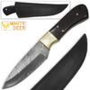 White Deer Custom Made Damascus Steel Knife (Buffalo Handle)