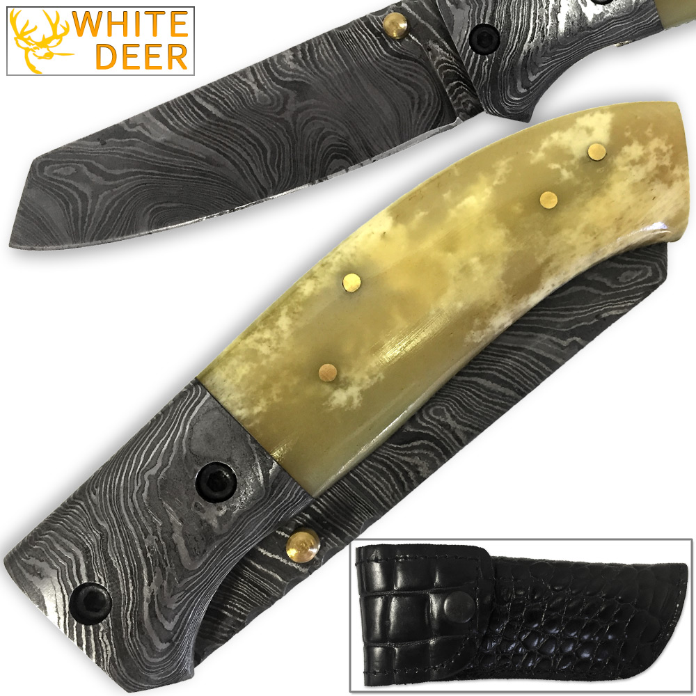 White Deer Spey Point Wharn-Blade Folding Damascus Knife Buffalo Bone Handle