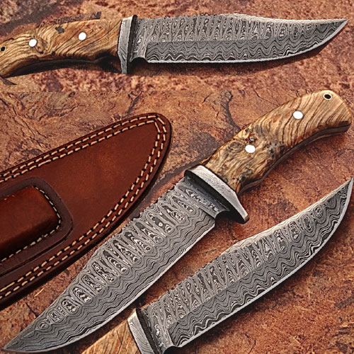 White Deer Damascus Steel Hunting Knife w/ Burl Olive Wood Hand