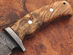 White Deer Damascus Steel Hunting Knife w/ Burl Olive Wood Hand