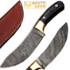 White Deer Custom Made Damascus Steel  Exotic Wood handle Buffalo Skinner