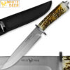 WHITE DEER Apprentice 12.5in Knife 440 Stainless Steel Sim-Stag Handle