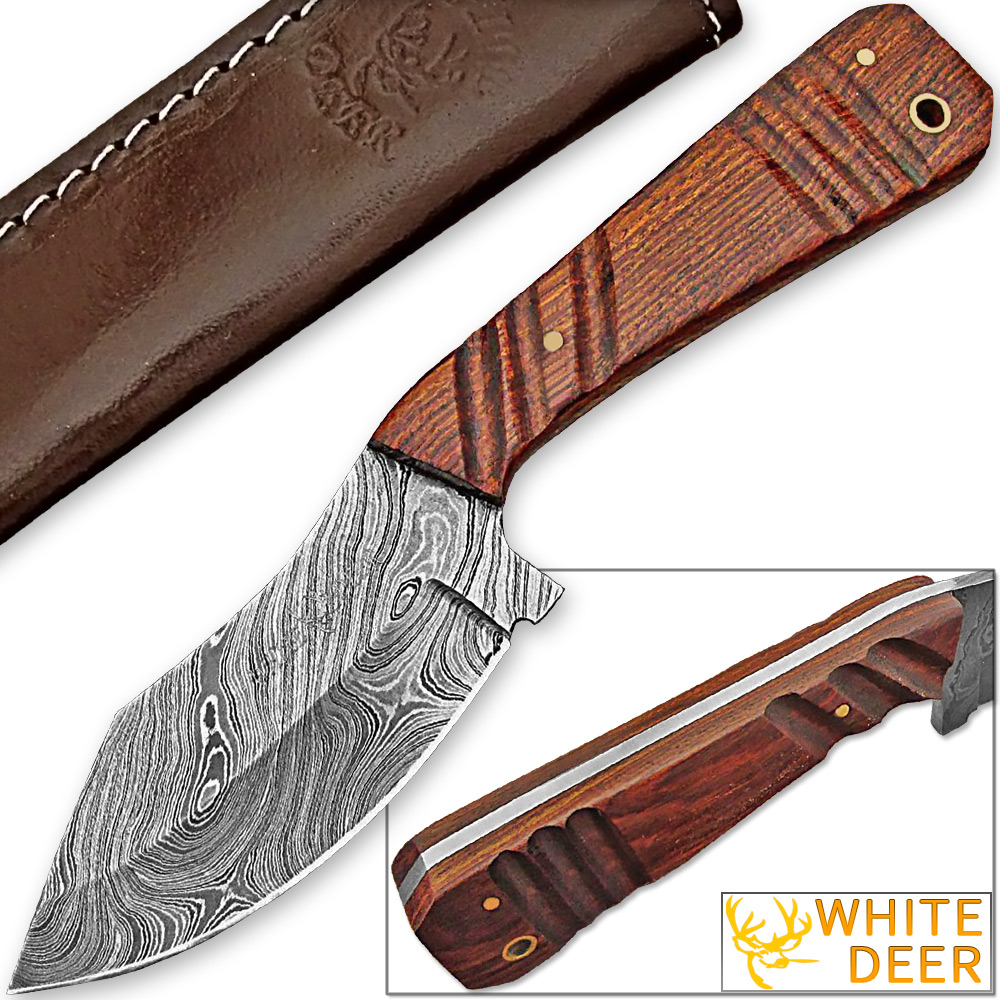 WHITE DEER SPEY BLADE Damascus Steel Hunting Skinner Knife Cocobolo Hardwood Handle