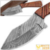 WHITE DEER SPEY BLADE Damascus Steel Hunting Skinner Knife Cocobolo Hardwood Handle
