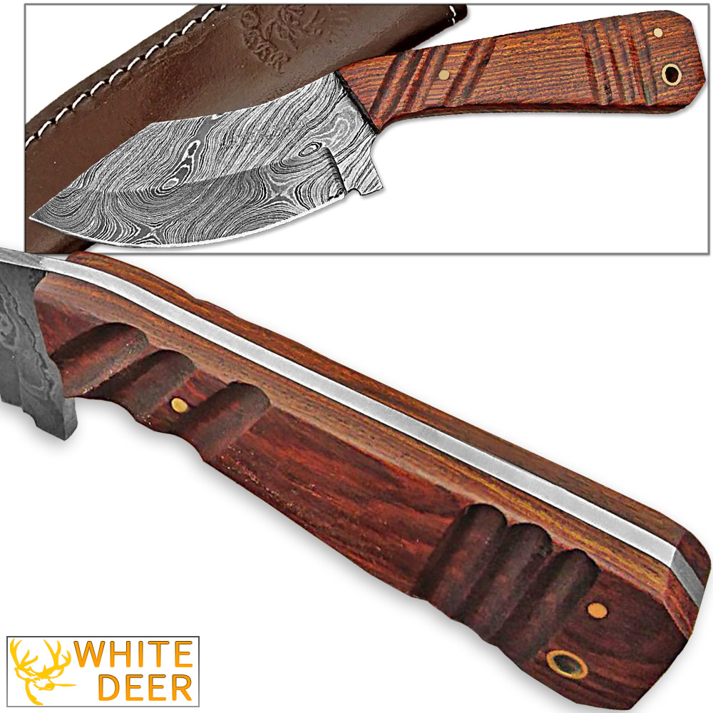 WHITE DEER SPEY BLADE Damascus Steel Hunting Skinner Knife Cocobolo Hardwood Handle