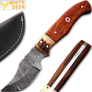 White Deer Damascus Steel Skinner Knife w/ Walnut Wood and  stag Bolster 1095 HC